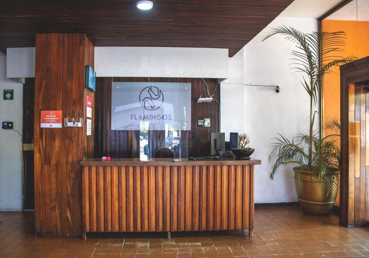 Hotel Flamingos Гвадалахара Екстер'єр фото